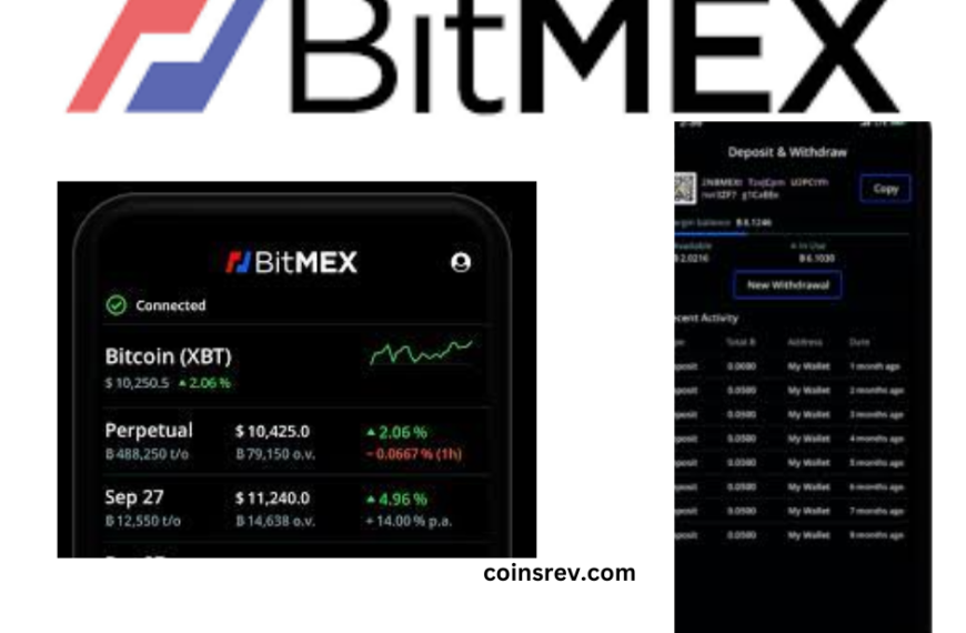 BitMEX App